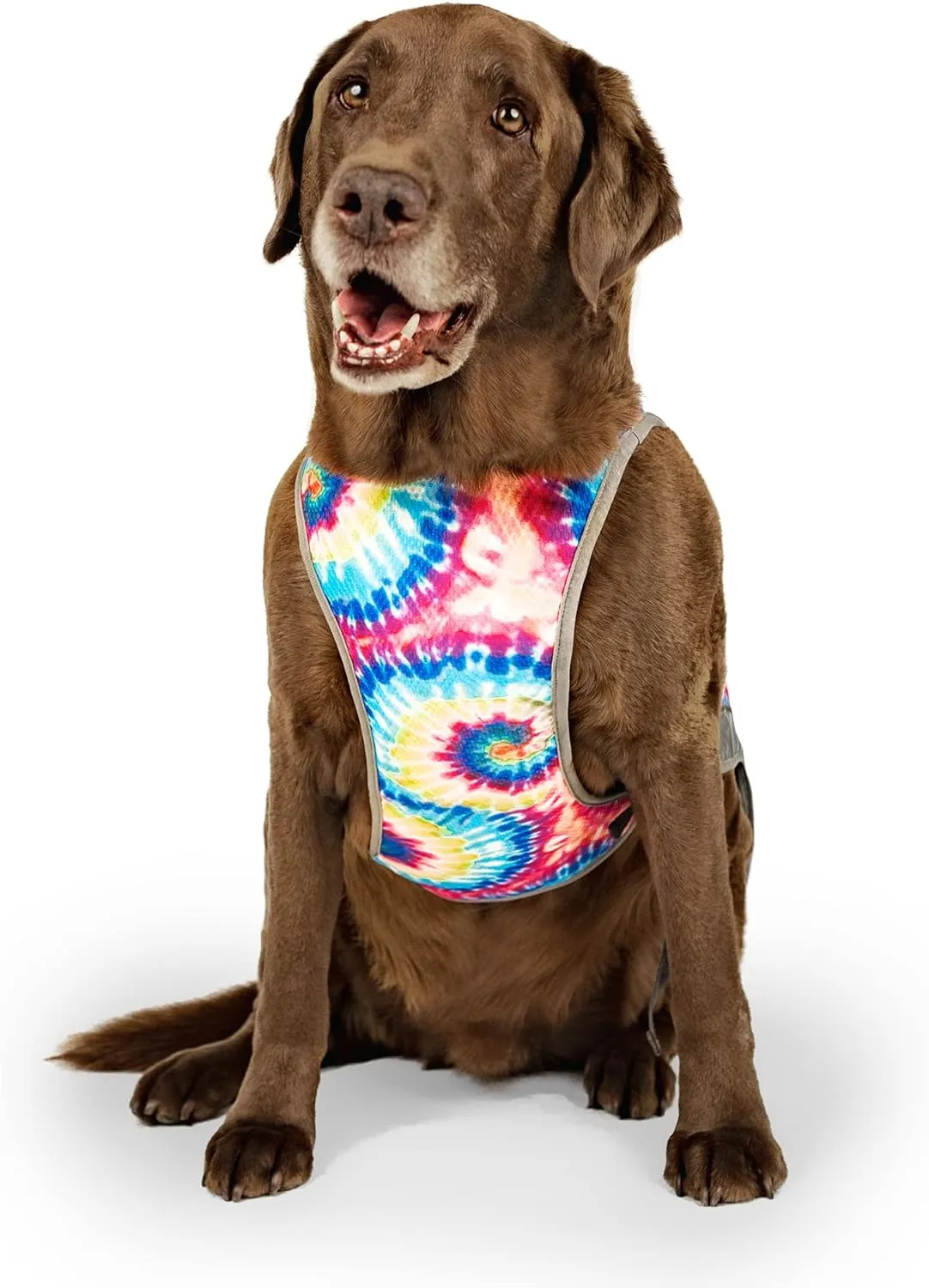 Canada Pooch - Chill Seeker Cooling Vest - Tie Dye Color - Size 18