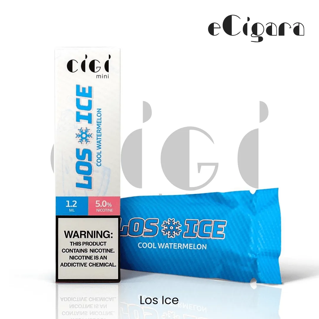 ECIGARA - CIGI Mini Disposable Pod