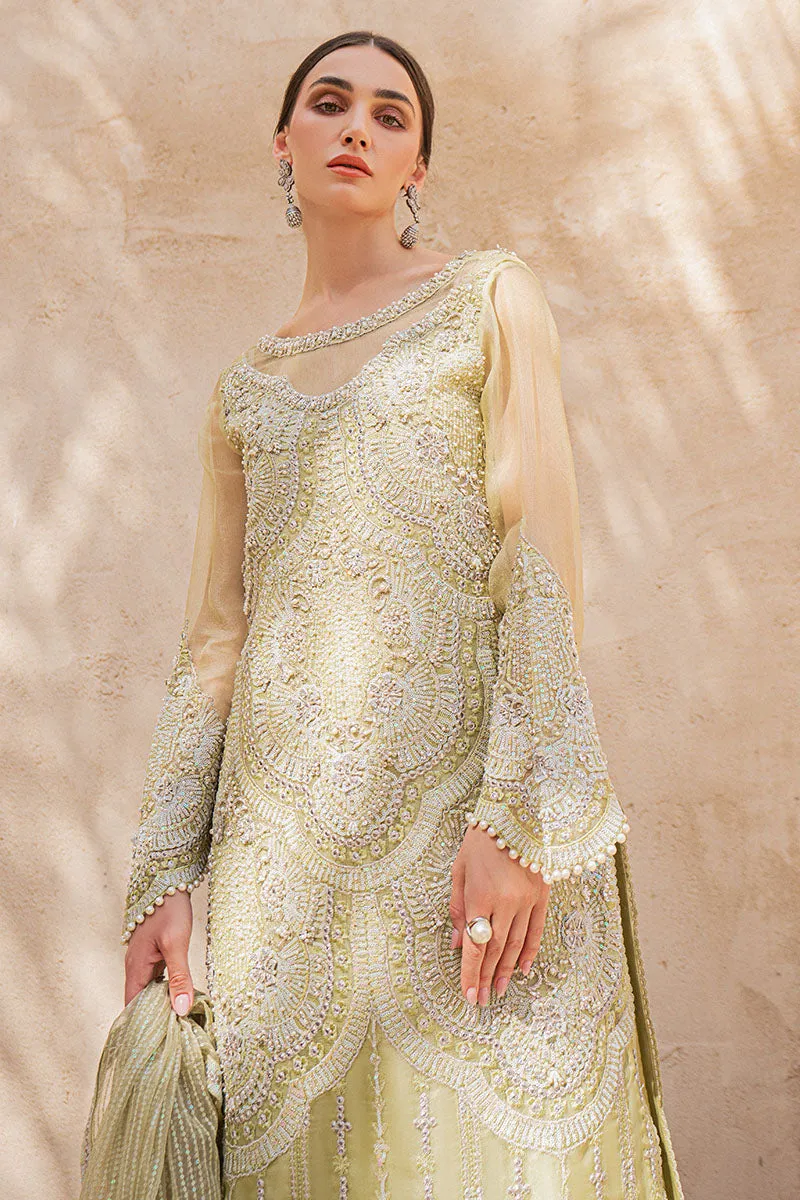 MUSHQ | LUXURY PRET PRINTED ORGANZA'23 | LENA