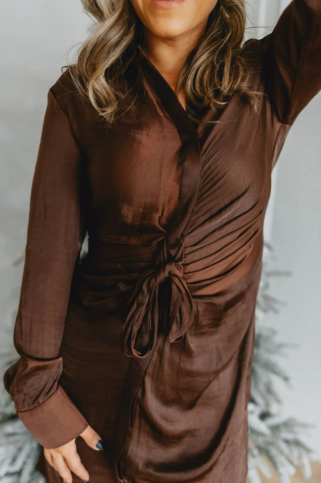 The Tie Curious Satin Dress - Coffee
