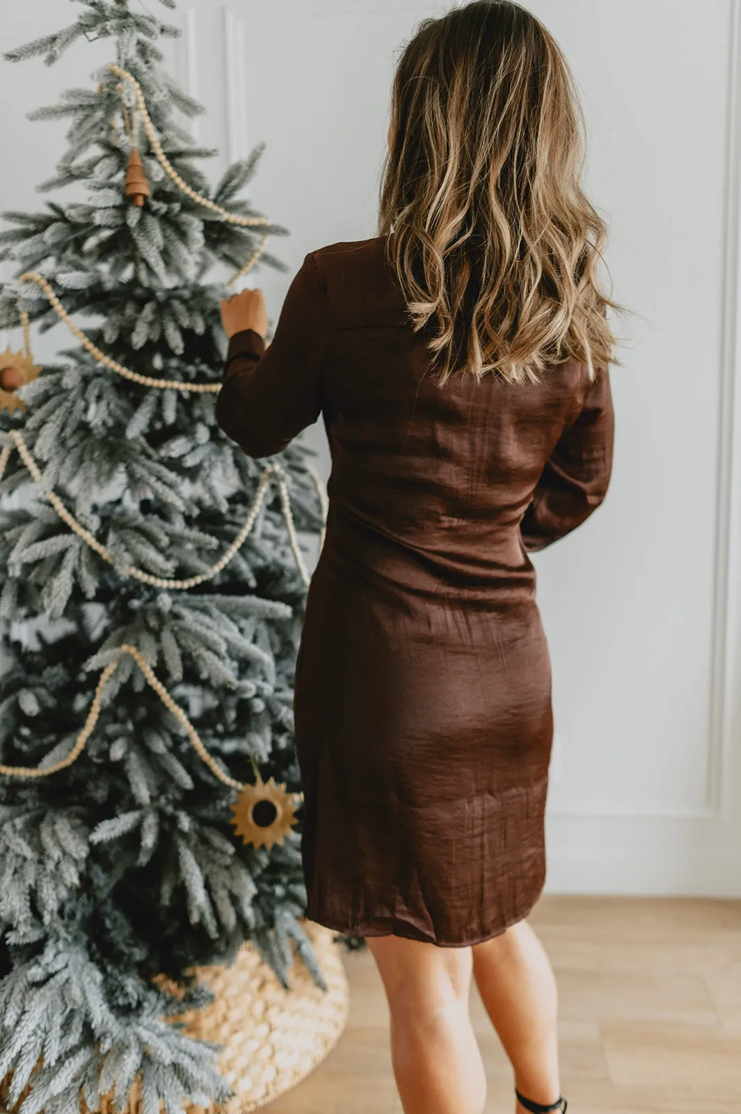 The Tie Curious Satin Dress - Coffee